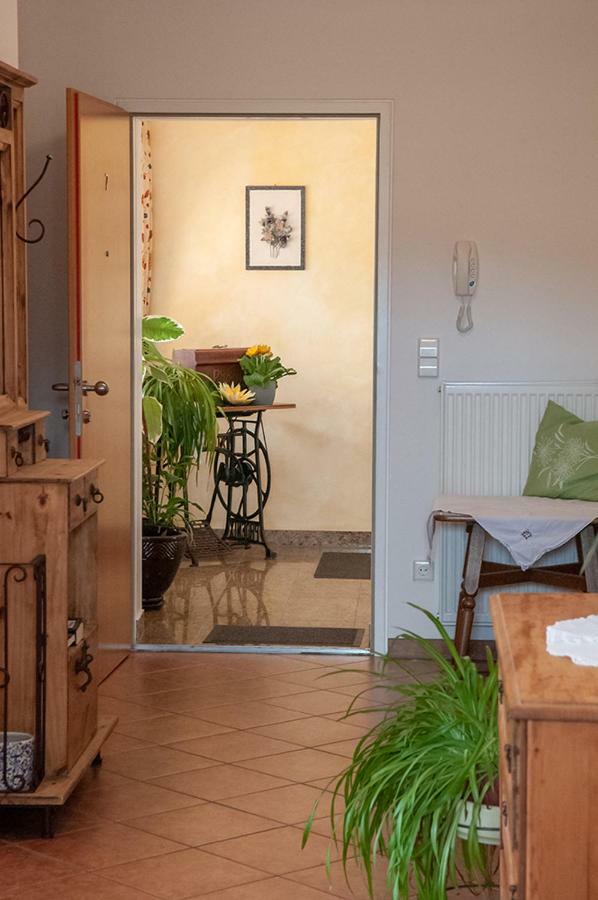 Pension Hiesel-Villa Untersbergblick Anthering Luaran gambar