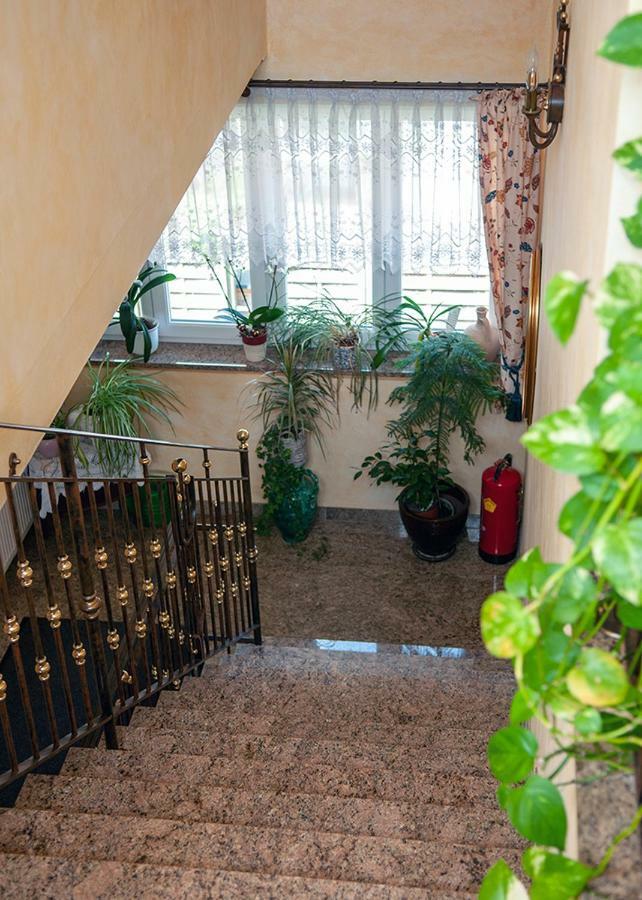 Pension Hiesel-Villa Untersbergblick Anthering Luaran gambar